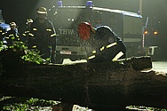 Beseitigen eines umgestürzten Baumes